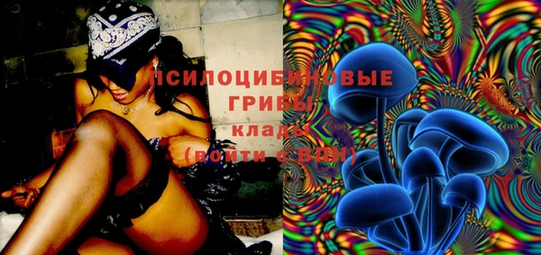 прущие грибы Аркадак