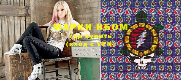 прущие грибы Аркадак
