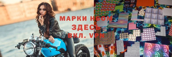 прущие грибы Аркадак