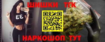 индика Моздок