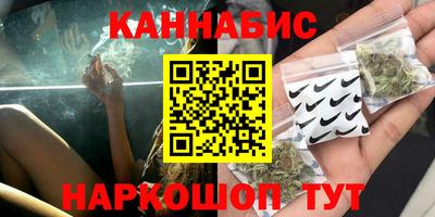 индика Моздок