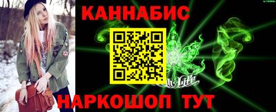 индика Моздок