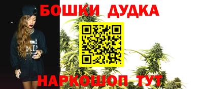 индика Моздок