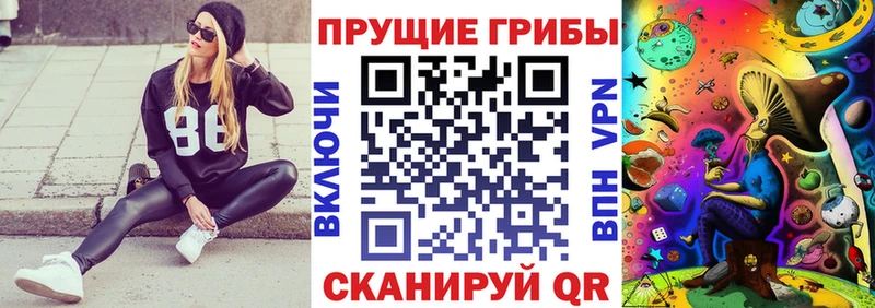 Галлюциногенные грибы Cubensis  купить закладку  Заинск 