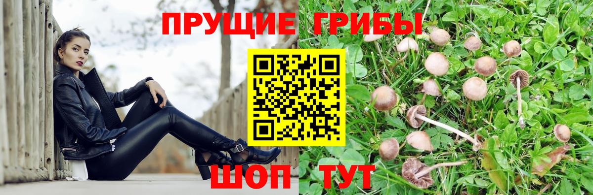Псилоцибиновые грибы Magic Shrooms Заинск