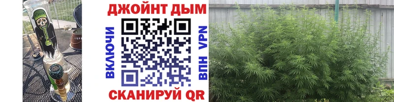 KRAKEN ONION Заинск Конопля Ganja
